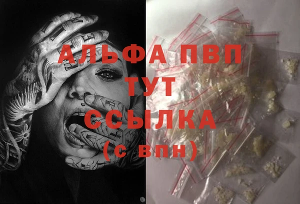 дживик Осинники