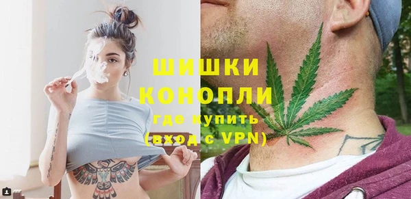 индика Абдулино