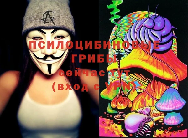 индика Абдулино
