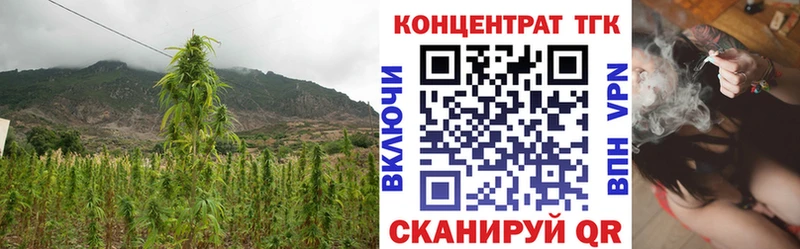 купить kraken маркетплейс ТГК концентрат Нахабино