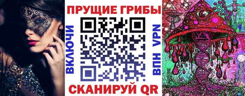 Псилоцибиновые грибы Psilocybine cubensis  Нахабино 